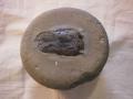 Kalkmergelsteingeode mit Schädel 